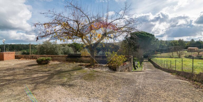 2025120485949-995509-3