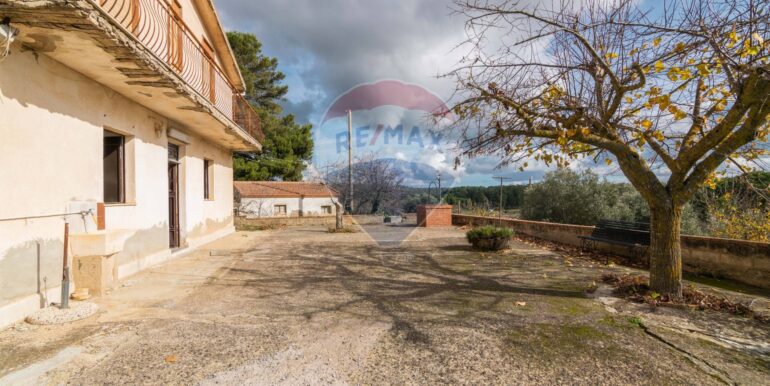 2025120485953-995509-4