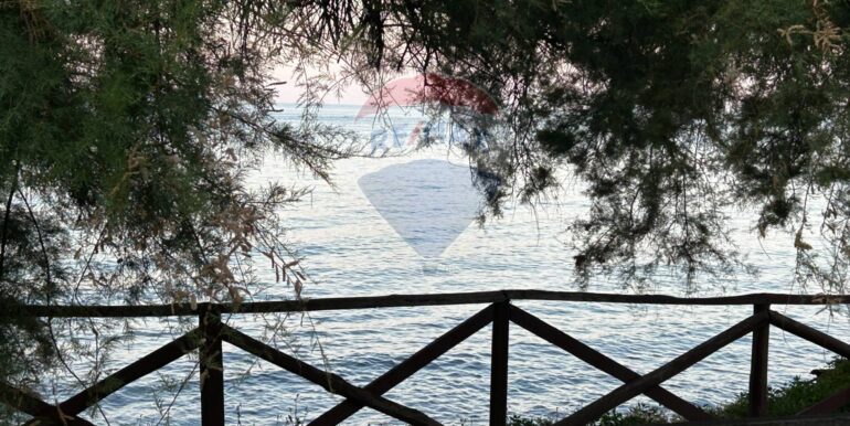 2025120492313013442859