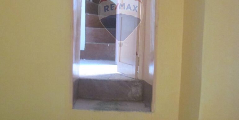 2025120493321-944055-7