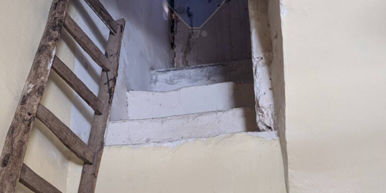 2025120493332-944055-11