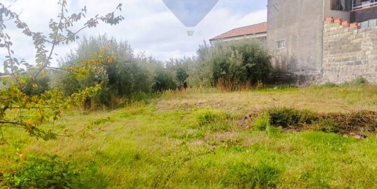 20251205102545-1005870-5