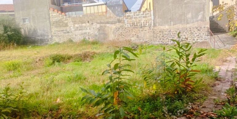 20251205102547-1005870-6