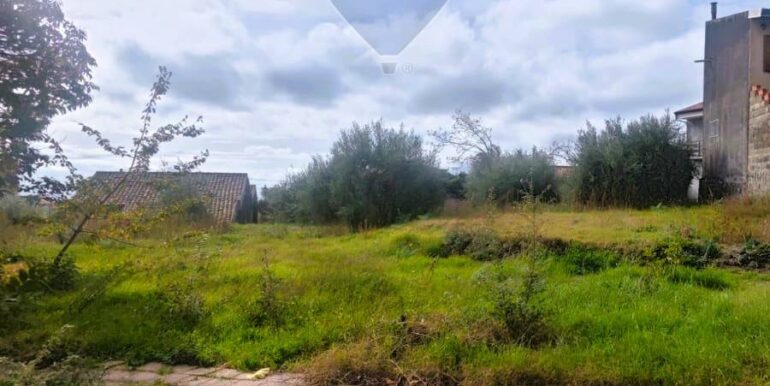 20251205102553-1005870-8