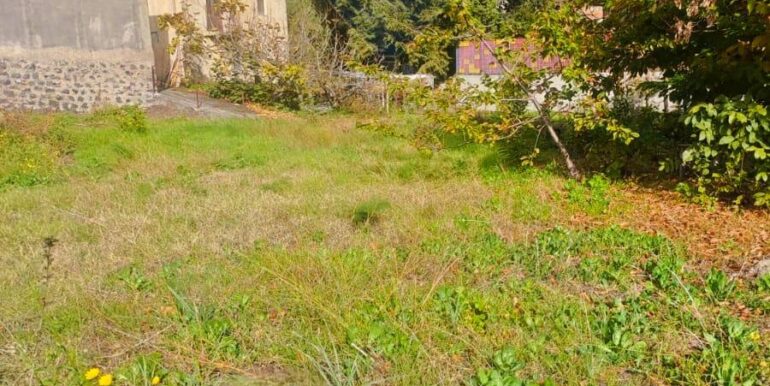 20251205102556-1005870-9