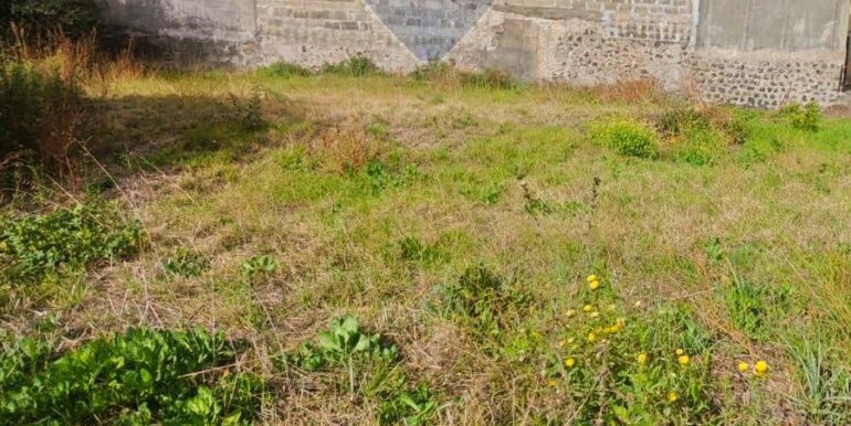 20251205102558-1005870-10