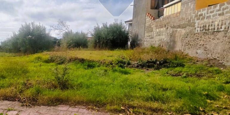 20251205102601-1005870-11