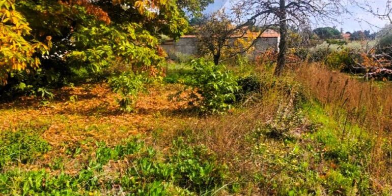 20251205102612-1005870-15