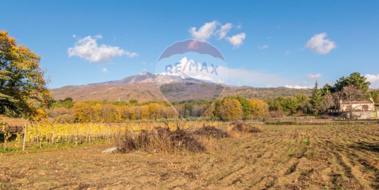 20251205142546-1006421-20