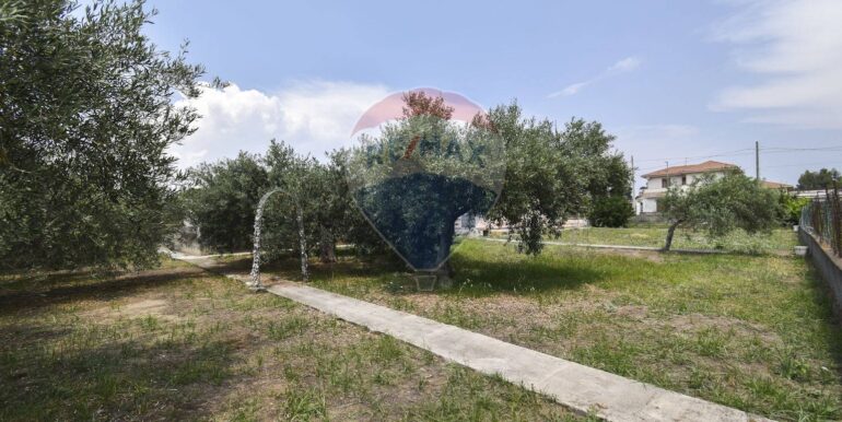 20251205192952-1007679-8