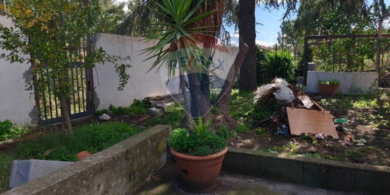 20251207153842-1007931-2