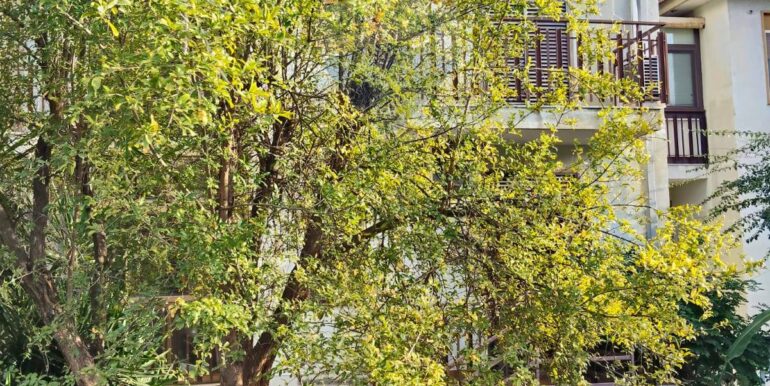 2025120792811-1007925-1