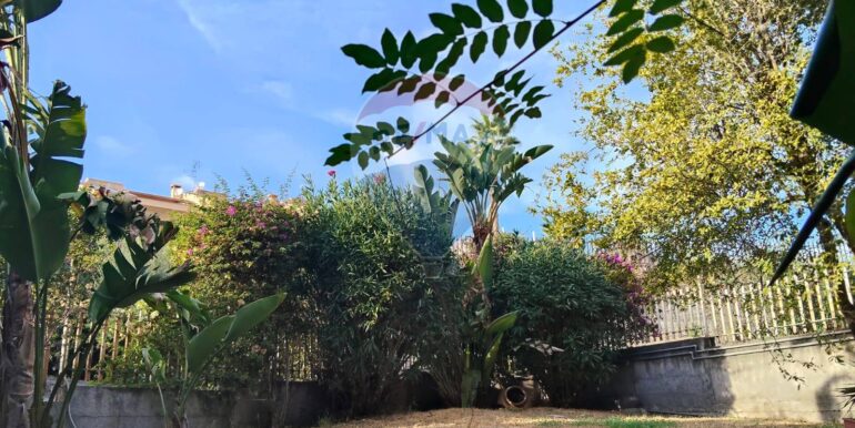 2025120792827-1007925-5