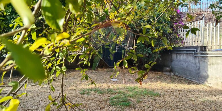 2025120792830-1007925-6