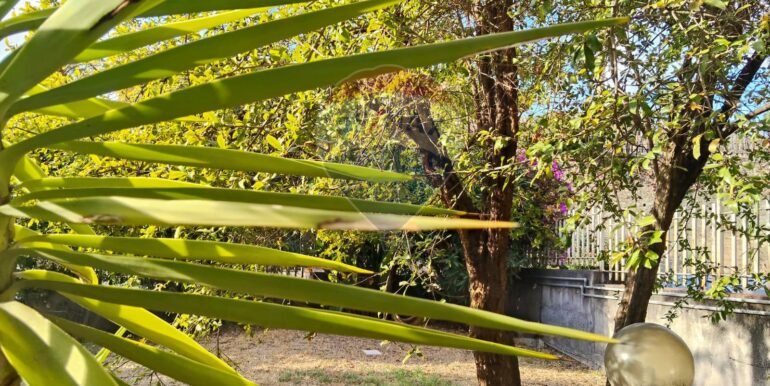 2025120792834-1007925-7