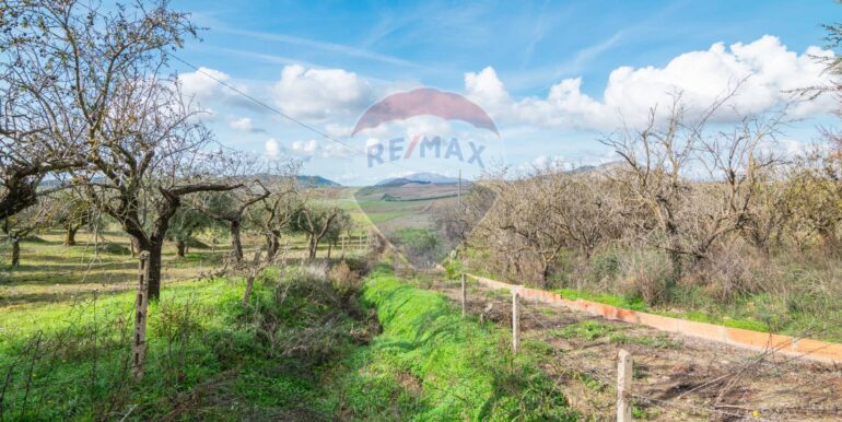 2025120894955-1007943-1