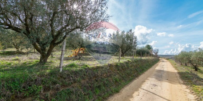 2025120895000-1007943-2