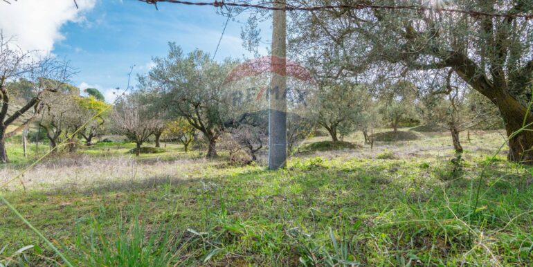 2025120895004-1007943-3