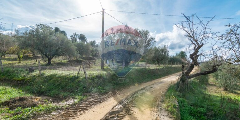 2025120895007-1007943-4