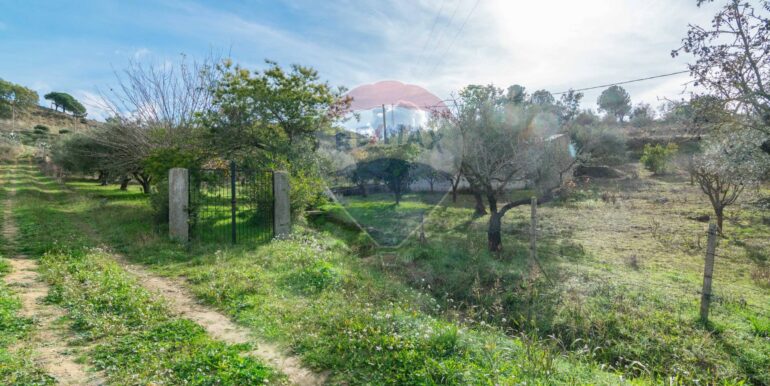 2025120895011-1007943-5