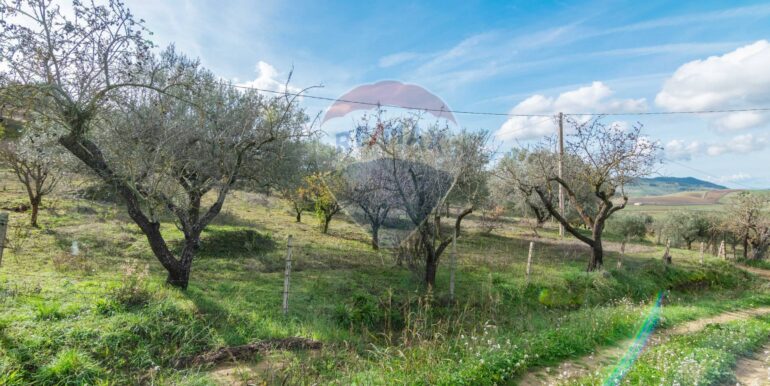 2025120895015-1007943-6