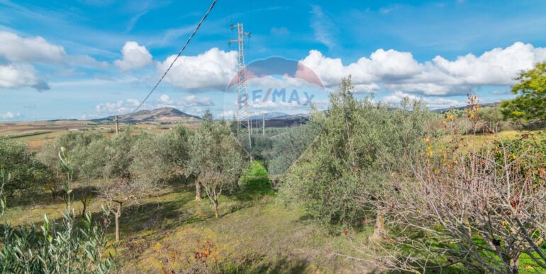 2025120895022-1007943-8