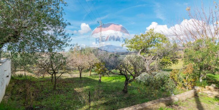 2025120895025-1007943-9