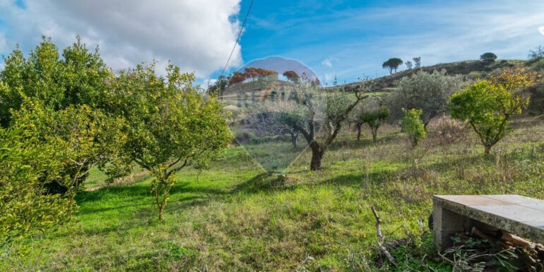 2025120895029-1007943-10