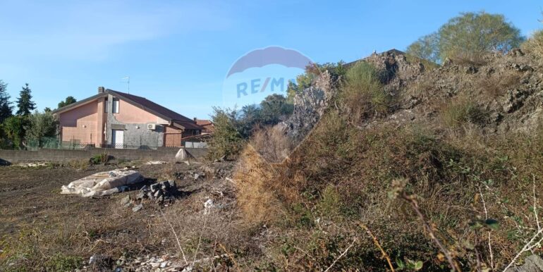 20251209104319-1007916-1