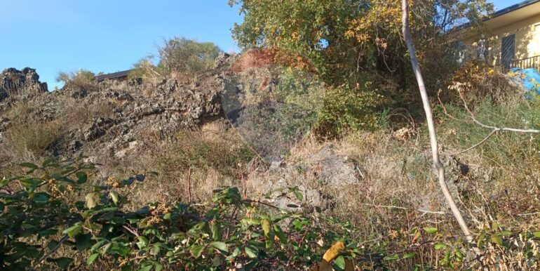 20251209104323-1007916-2