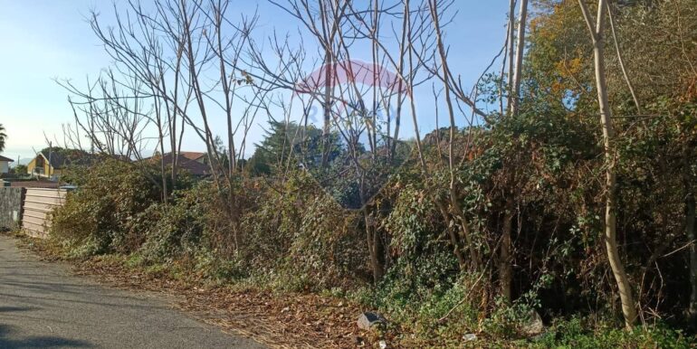 20251209104327-1007916-3