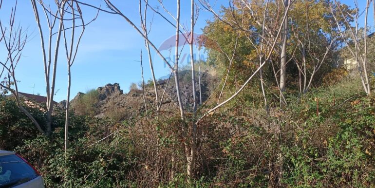 20251209104333-1007916-5