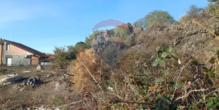 20251209104336-1007916-6