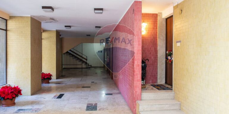 20251209115307-1007998-7