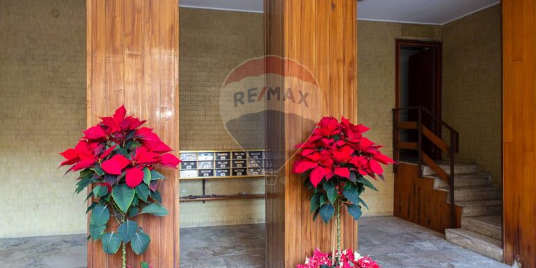 20251209115313-1007998-9