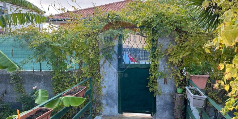 20251209183706-1008526-3