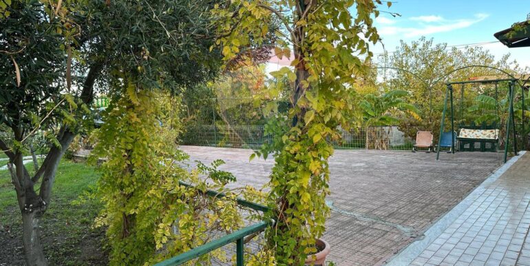 20251209183712-1008526-5