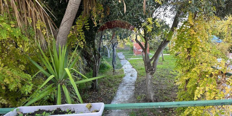 20251209183715-1008526-6