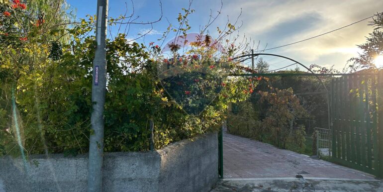 20251209183752-1008526-21