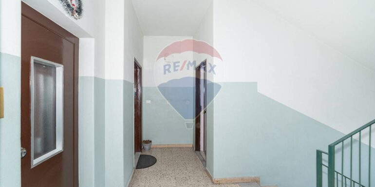 20251209195005-1008550-1