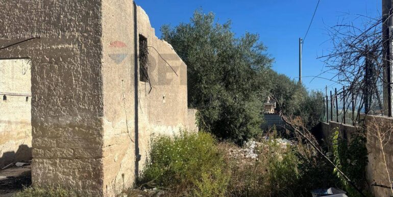 20251210121908-1008624-1