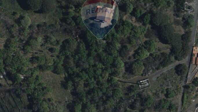 20251210180539-1008697-1