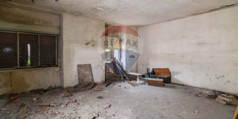 2025121084212-1008568-7