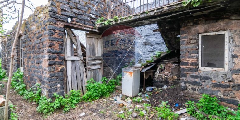 2025121084214-1008568-13