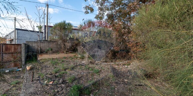 20251211102941-1008516-9