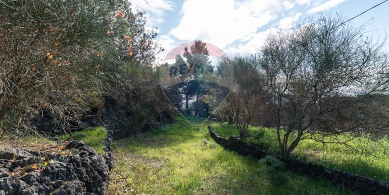 20251211102945-1008516-10