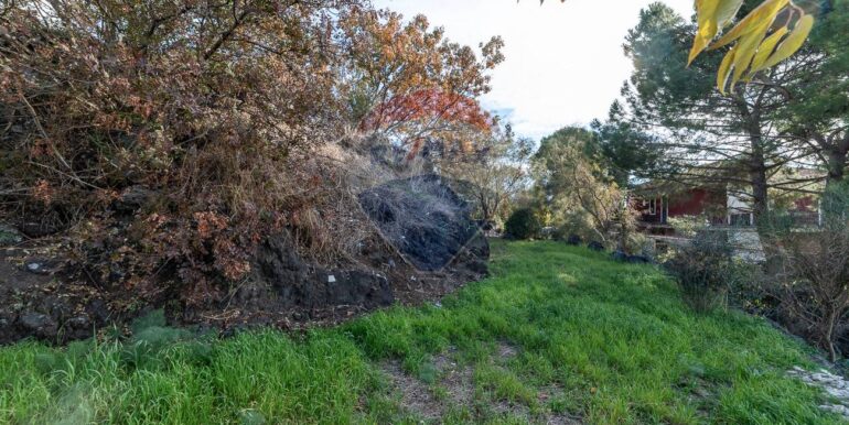 20251211102950-1008516-11