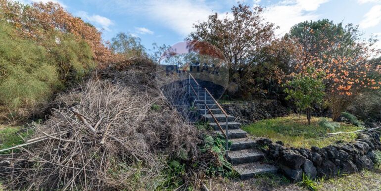 20251211103000-1008516-13