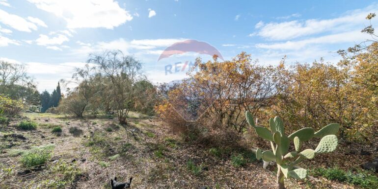 20251211103021-1008516-17