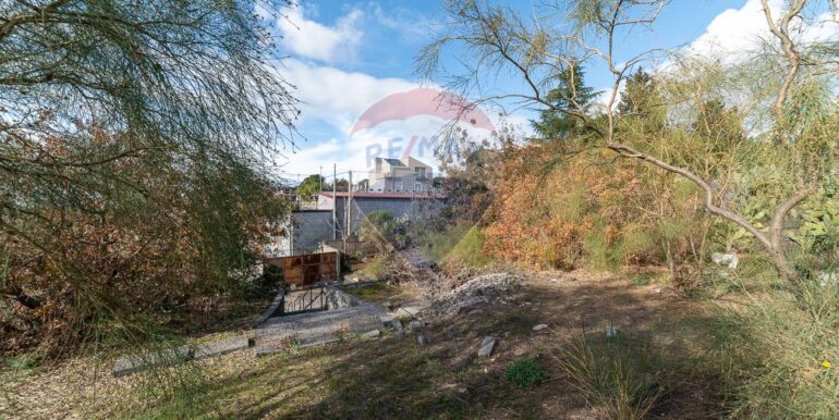 20251211103025-1008516-18